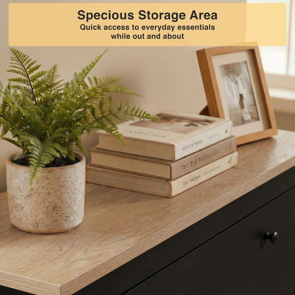 2 Door Shoe Cabinet with Drawer – Slim Hallway Storage Unit