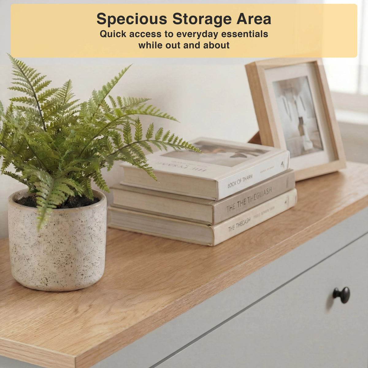 2 Door Shoe Cabinet with Drawer – Slim Hallway Storage Unit