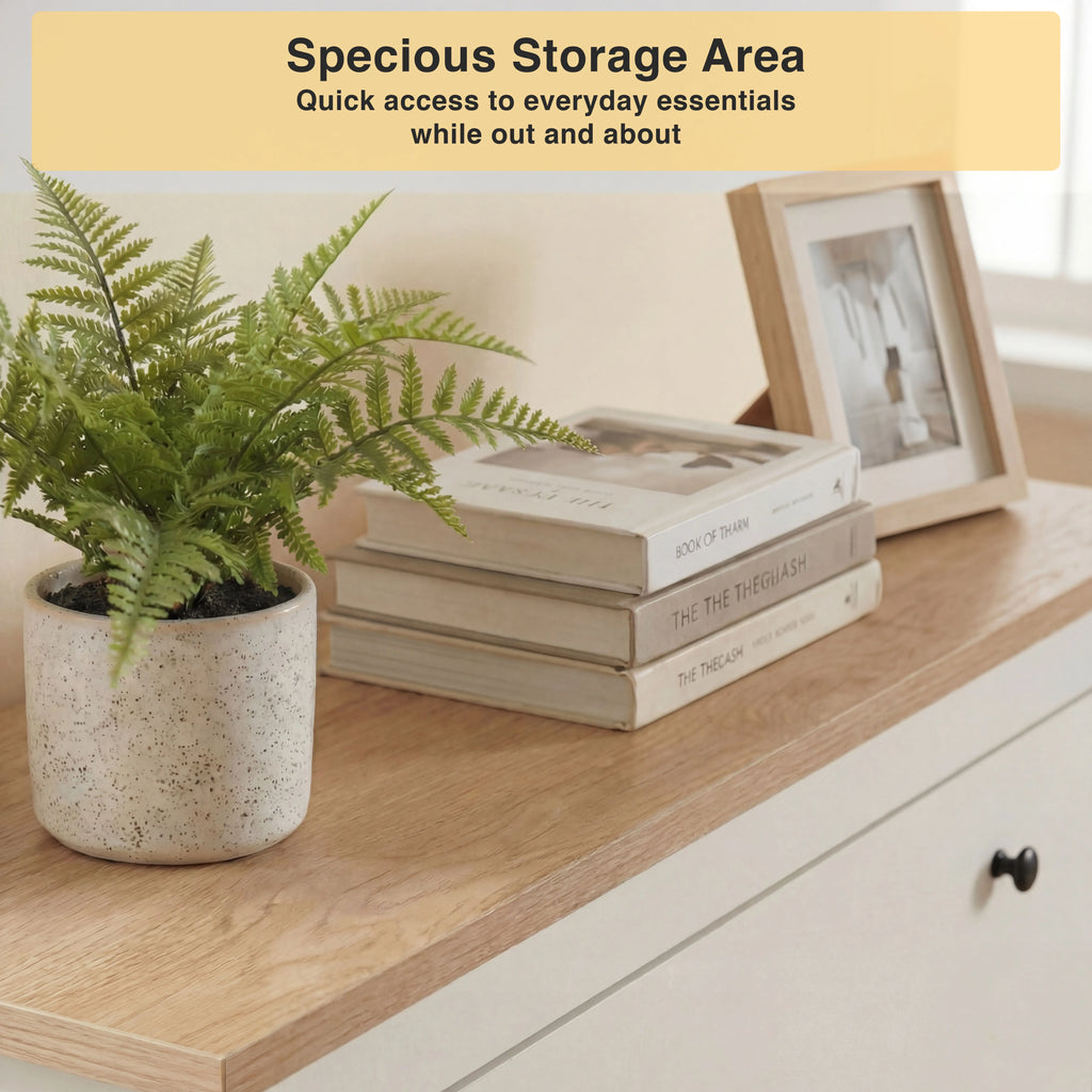 2 Door Shoe Cabinet with Drawer – Slim Hallway Storage Unit